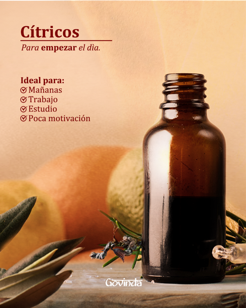 Mesa de trabajo 3
