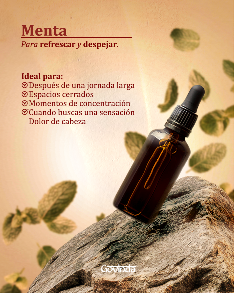Mesa de trabajo 4